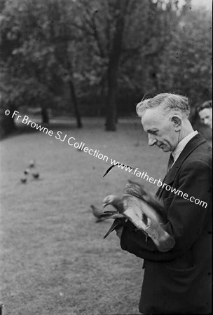 ST STEPHEN'S GREEN FEEDING BIRDS